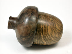 LV-1998 Wooden Acorn Box from Pistachio & Black Walnut Burl -LARGE