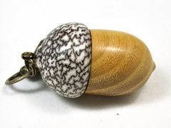 LV-2094 Acorn Pendant Box, Charm, Pill Holder from Osage Orange & Betelnut-SCREW CAP