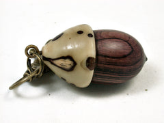 LV-2093 Acorn Pendant Box, Charm, Pill Holder from Camatillo & Raffia Palm Nut-SCREW CAP