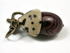 LV-2093 Acorn Pendant Box, Charm, Pill Holder from Camatillo & Raffia Palm Nut-SCREW CAP