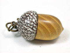 LV-2094 Acorn Pendant Box, Charm, Pill Holder from Osage Orange & Betelnut-SCREW CAP