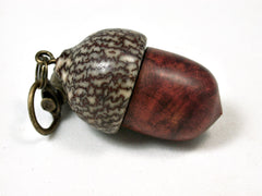 LV-2099 Acorn Pendant Box, Charm, Pill Holder from Logwood Burl & Betelnut-SCREW CAP