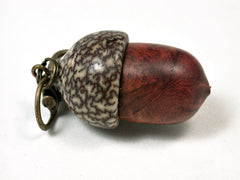 LV-2099 Acorn Pendant Box, Charm, Pill Holder from Logwood Burl & Betelnut-SCREW CAP
