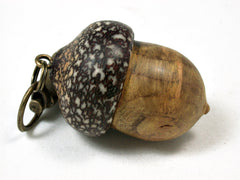 LV-2106 Acorn Pendant Box, Charm, Pill Holder from Redbud Burl & Betelnut-SCREW CAP