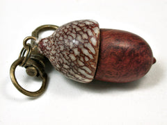LV-2104 Acorn Pendant Box, Charm, Pill Holder from Logwood Burl & Betelnut-SCREW CAP