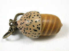 LV-2190 Acorn Pendant Box, Charm, Pill Holder from Osage Orange & Yollilo Palm Nut-SCREW CAP