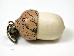 LV-2201 Holly & Palm Nut Acorn Pendant Box, Charm, Pill Holder-SCREW CAP
