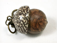 LV-2189 Pollyanna Burl & Betelnut Acorn Pendant Box, Charm, Pill Holder-SCREW CAP