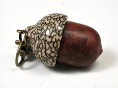 LV-2205 Logwood Burl & Betelnut Acorn Pendant Box, Charm, Pill Holder-SCREW CAP