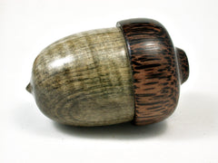 LV-2226 Curly Buckeye & Black Palm Acorn Jewelry Box, Pill Box, Trinket Box-SCREW CAP