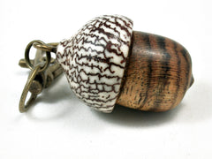 LV-2220 Bocote & Betelnut Acorn Pendant Box, Charm, Pill Holder-SCREW CAP