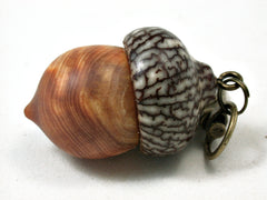 LV-2283 Ponderosa Pine Burl & Betelnut Acorn Pendant Box, Charm, Pill Holder-SCREW CAP