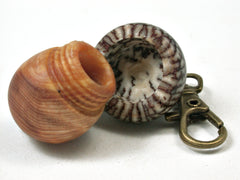 LV-2283 Ponderosa Pine Burl & Betelnut Acorn Pendant Box, Charm, Pill Holder-SCREW CAP