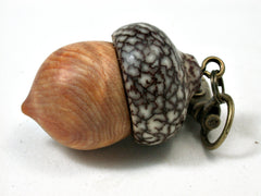 LV-2283 Ponderosa Pine Burl & Betelnut Acorn Pendant Box, Charm, Pill Holder-SCREW CAP
