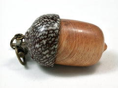 LV-2286 Bristlecone Pine & Betelnut Acorn Pendant Box, Charm, Pill Holder-SCREW CAP