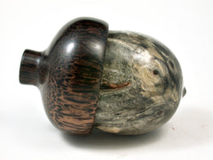 LV-2300 Buckeye Burl & Black Palm Acorn Jewelry, Ring Box, Pill Box, Threaded Urn