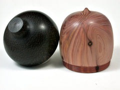LV-2351 Chinese Juniper & Black Palm Acorn Jewelry, Pill Box, Trinket-SCREW CAP
