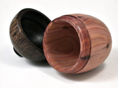 LV-2351 Chinese Juniper & Black Palm Acorn Jewelry, Pill Box, Trinket-SCREW CAP