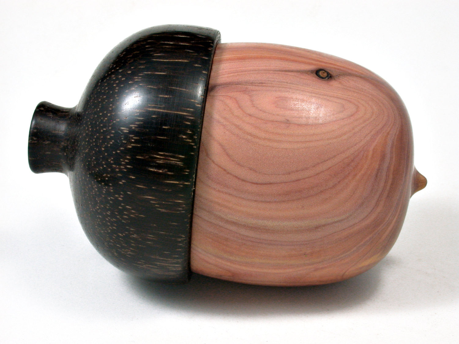 LV-2351 Chinese Juniper & Black Palm Acorn Jewelry, Pill Box, Trinket-SCREW CAP