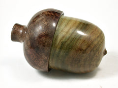 LV-2358 Devil's Walking Stick & Walnut Burl Acorn Jewelry, Pill Box, Trinket-SCREW CAP