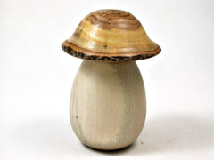 LV-2396 Holly & Japanese Pagoda Tree Wooden Mushroom Threaded Box, Jewelry Box-SCREW CAP