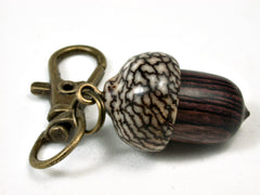 LV-2450 Camatillo & Betelnut Acorn Pendant Box, Charm, Pill Holder-SCREW CAP
