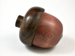 LV-2581 Giant Sequoia with Black Walnut Burl Acorn Jewelry, Ring Box, Pill Box-SCREW CAP