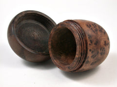 LV-2579 Thuya Burl with Black Walnut Acorn Jewelry, Ring Box, Pill Box-SCREW CAP