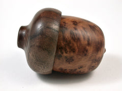 LV-2579 Thuya Burl with Black Walnut Acorn Jewelry, Ring Box, Pill Box-SCREW CAP