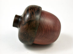 LV-2581 Giant Sequoia with Black Walnut Burl Acorn Jewelry, Ring Box, Pill Box-SCREW CAP