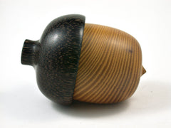 LV-2383 Osage Orange with Black Palm Acorn Jewelry, Ring Box, Pill Box-SCREW CAP