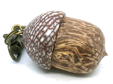 LV-5678  Sheoak Burl & Betelnut Acorn Pendant Box, Charm, Pill Holder-SCREW CAP