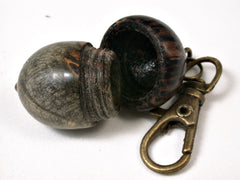 LV-2416  Acorn Pendant Box, Charm, Pill Holder from Buckeye Burl & Black Palm-SCREW CAP
