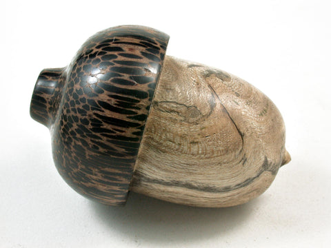 LV-2982 Holly Burl & Black Palm Acorn Pill Box, Engagement Ring Box-SCREW CAP