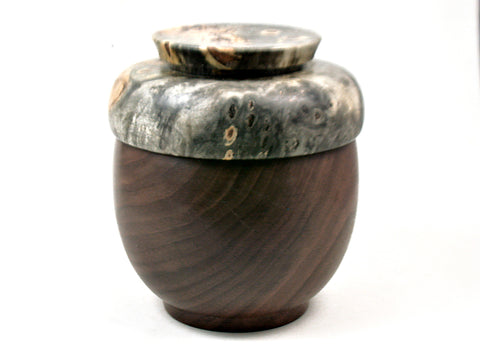 LV-3262  Buckeye Burl  & Black Walnut  Threaded Vessel, Lidded Box,  Urn-SCREW CAP