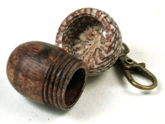 LV-3485  Curly Koa & Betelnut Acorn Pendant Box, Charm, Keychain-SCREW CAP