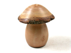 LV-3546  Photinia & Golden Rain Tree Wooden Mushroom Trinket Box, Pill, Jewelry Box-SCREW CAP