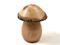 LV-3546  Photinia & Golden Rain Tree Wooden Mushroom Trinket Box, Pill, Jewelry Box-SCREW CAP