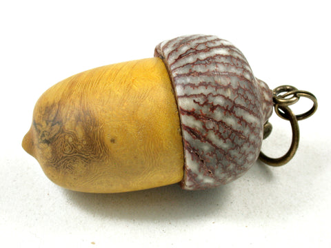 LV-3553 Agarita Burl & Betelnut Acorn Pendant Box, Pill Fob-SCREW CAP