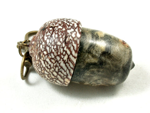 LV-3556  Buckeye Burl & Betelnut Acorn Pendant Box, Charm, Pill Holder-SCREW CAP