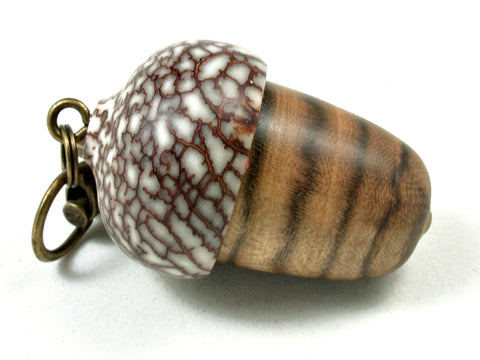 LV-3563  Chinese Pistachio & Betelnut Acorn Key Fob, Pill Holder, Cash Stash-SCREW CAP