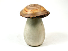 LV-3643  Holly & Japanese Pagoda Tree Wooden Mushroom Threaded Box, Jewelry Box-SCREW CAP