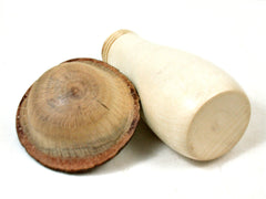 LV-3645  Threaded Wooden Mushroom Box from Holly & Interior  Live Oak