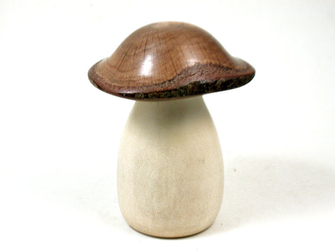 LV-3647  Holly & Live Oak Wooden Mushroom Trinket Box, Pill, Jewelry Box-SCREW CAP