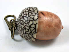 LV-3711  Laurel Sumac Burl & Betel Nut Acorn Pendant Box, Charm, Pill Holder-SCREW CAP