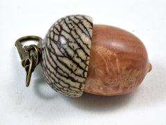 LV-3711  Laurel Sumac Burl & Betel Nut Acorn Pendant Box, Charm, Pill Holder-SCREW CAP