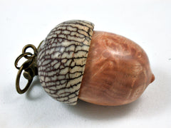 LV-3711  Laurel Sumac Burl & Betel Nut Acorn Pendant Box, Charm, Pill Holder-SCREW CAP