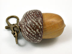 LV-3733  Osage Orange & Betel Nut Acorn Pendant Box, Keychain, Pill Fob-SCREW CAP