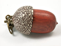 LV-3782  African Padauk & Betelnut Acorn Pendant Box, Charm, Pill Holder-SCREW CAP