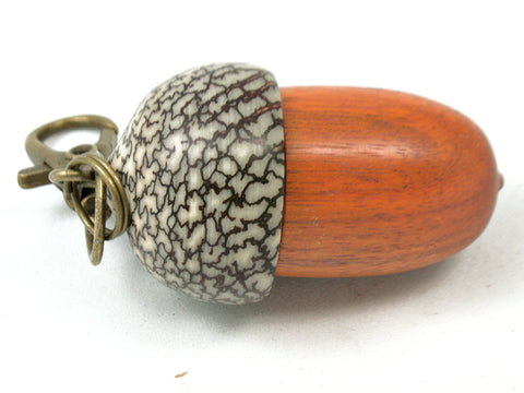 LV-4055  Sappanwood & Betelnut Acorn Pendant Box, Charm, Pill Holder-SCREW CAP